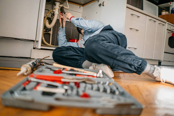 Best Emergency Plumbing Repair  in Beecher, IL