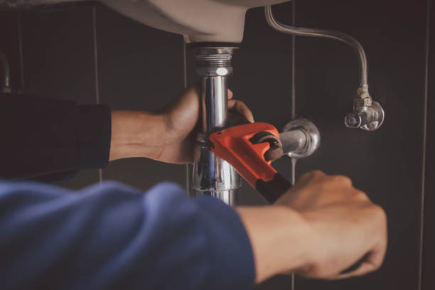 Best Local Plumber Services  in Beecher, IL